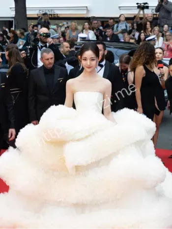 戛纳电影节红毯